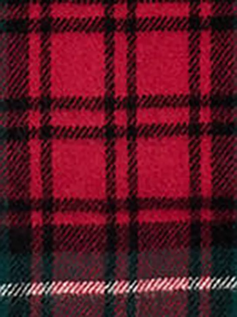 POLO RALPH LAUREN Schal rot
