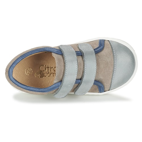 Citrouille et Compagnie - GOUTOU - Gris / Taupe / Bleu