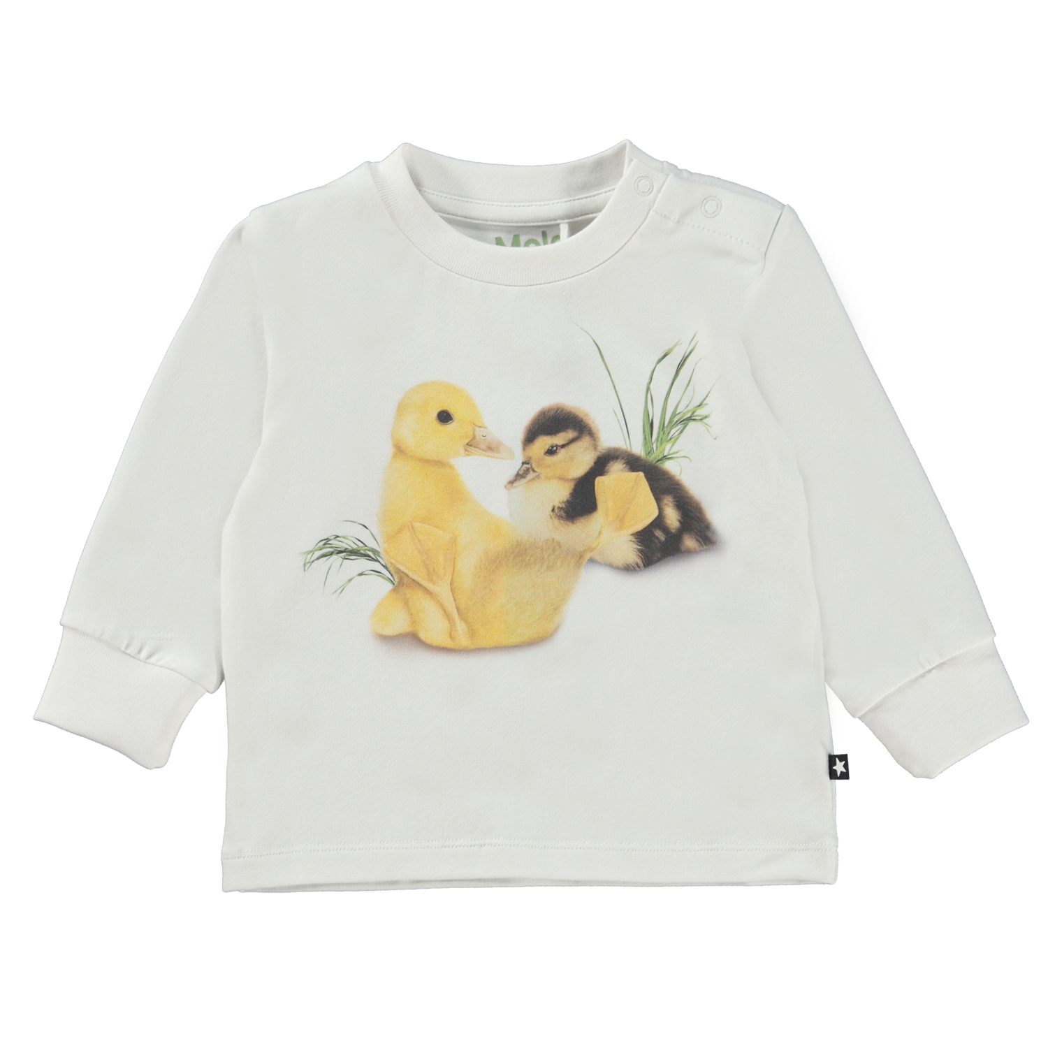 Eloy - Ducklings Life