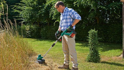 Bosch AdvancedGrassCut 36 LI Grastrimmer - Zonder 36 V accu en lader