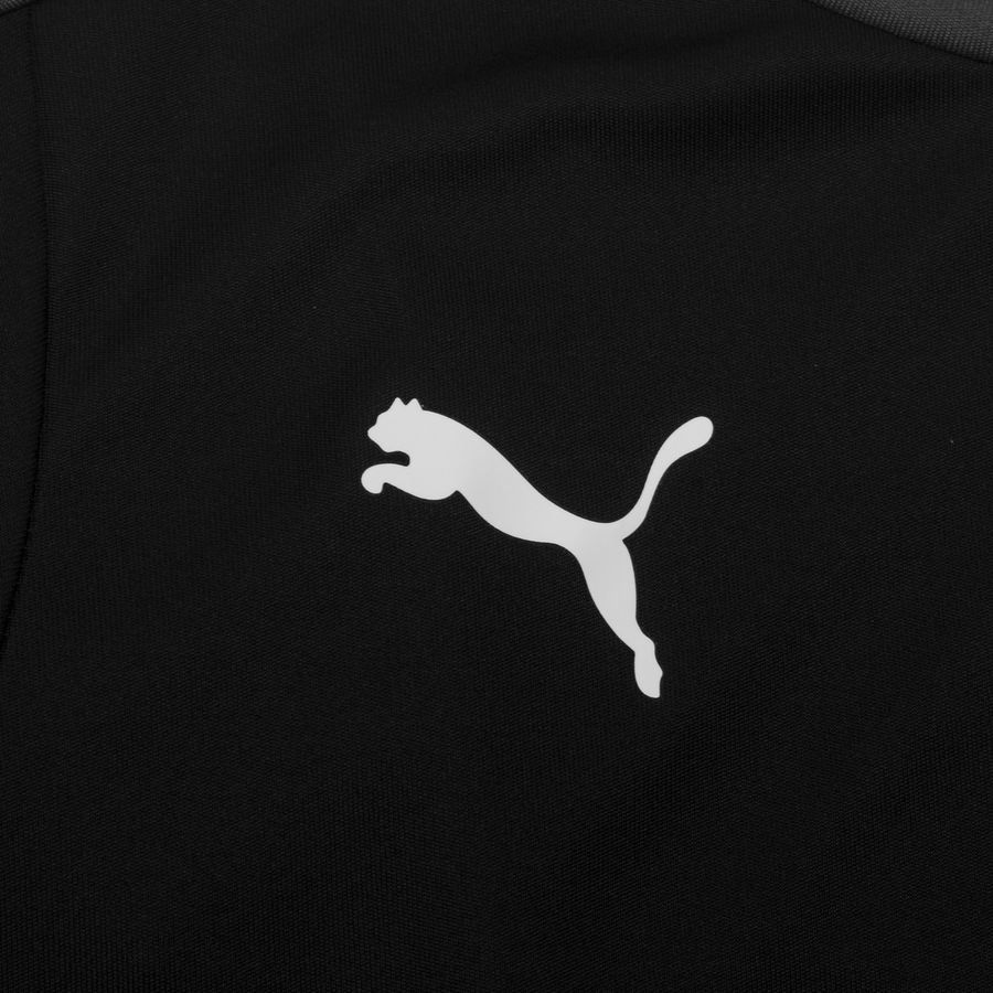PUMA T-shirt d'Entraînement teamGOAL 23 - Noir/Gris Enfant