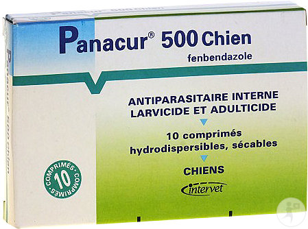 Panacur 500 Chien Antiparasitaire Interne Larvicide Et Adulticide 10 Comprimés