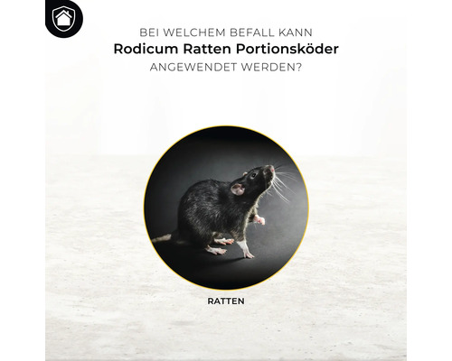 Rattenlokdoos portie lokaas Protect Home Rodicum 250 g voor gebruik in lokaasdozen