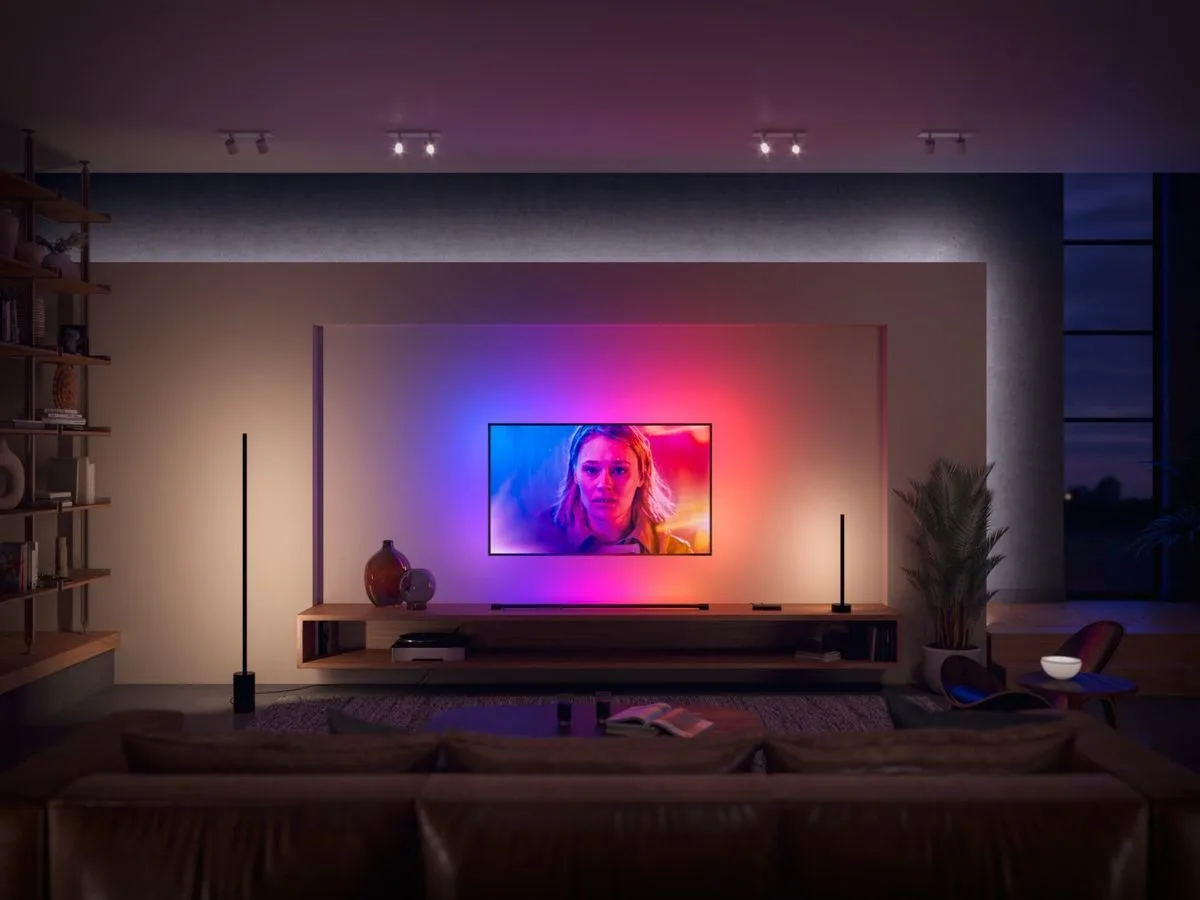 Philips Hue Play Gradient Tube Noir (60