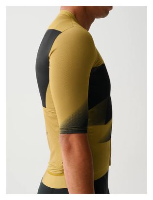 Maillot Manches Courtes Maap Evolve Pro Air 2.0 Marron clair