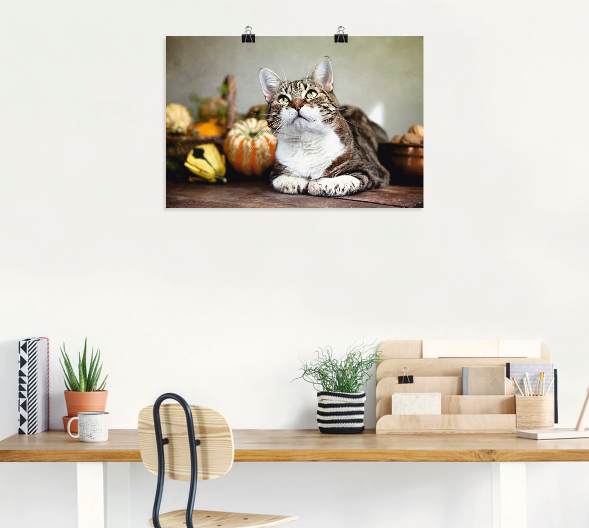Artland Poster »Katze und Herbstdeko« Haustiere 1 Stk. tlg. als Alubild, Leinwandbild, Wandaufkleber oder Poster in versch. Grössen