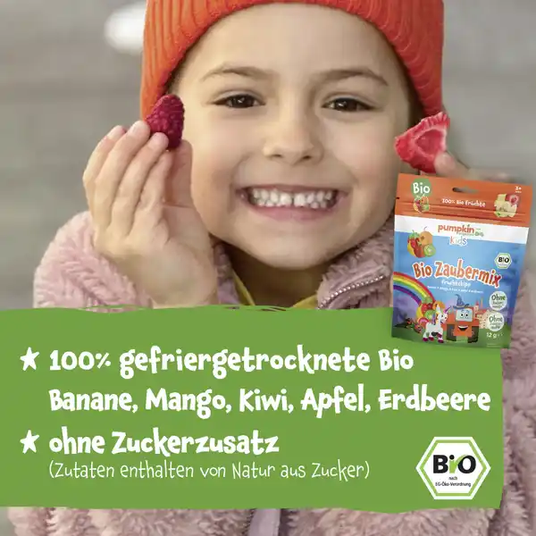 Bio Zaubermix Fruchtchips