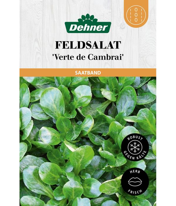 Dehner Saatband Feldsalat 'Verte de Cambrai',