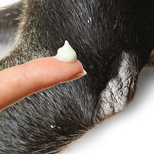 Maxani Kerasooth Cream
