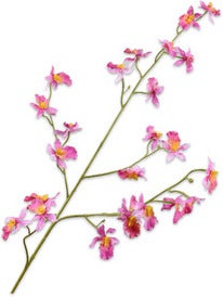 Silk-Ka kunstbloem Tijgerorchidee roze 100 cm
