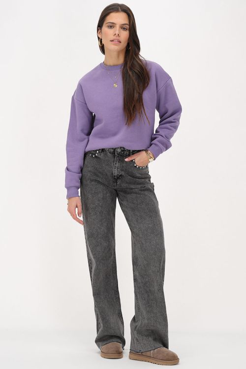 Paarse sweater 