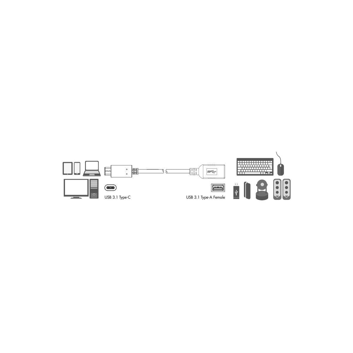 LogiLink USB 3.1 USB-C Ha -> USB-A Ho