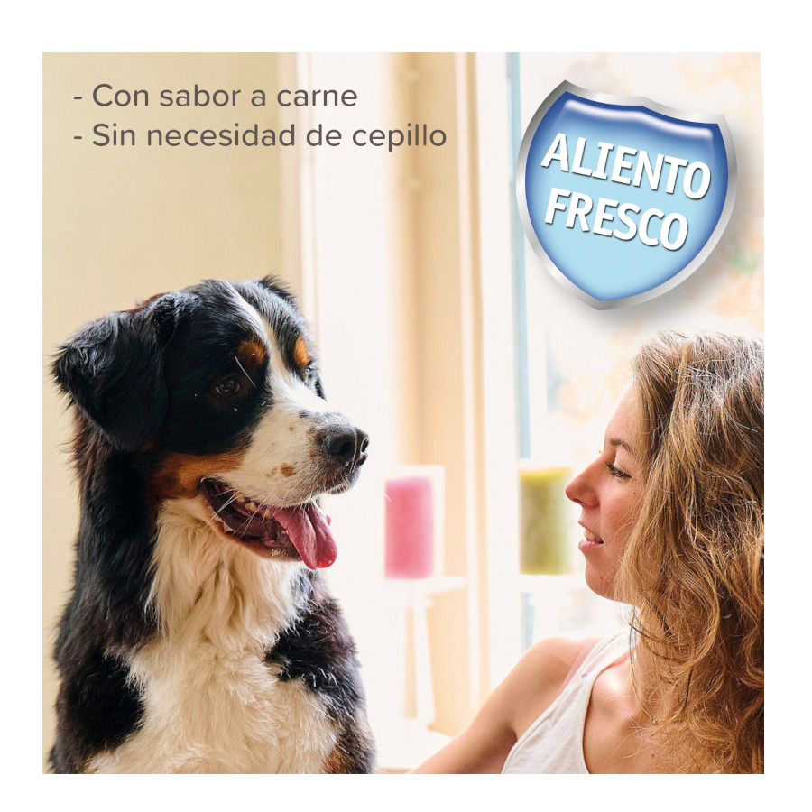 Gel dental Beaphar para cães e gatos