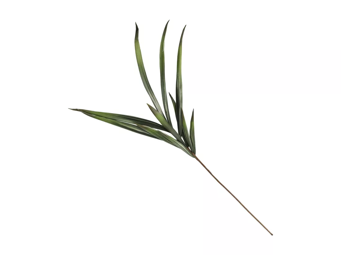Fleur Dalone vert moyen 13 x 60 x 90