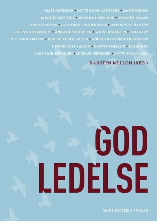 God Ledelse - Steen Hildebrandt - Bog