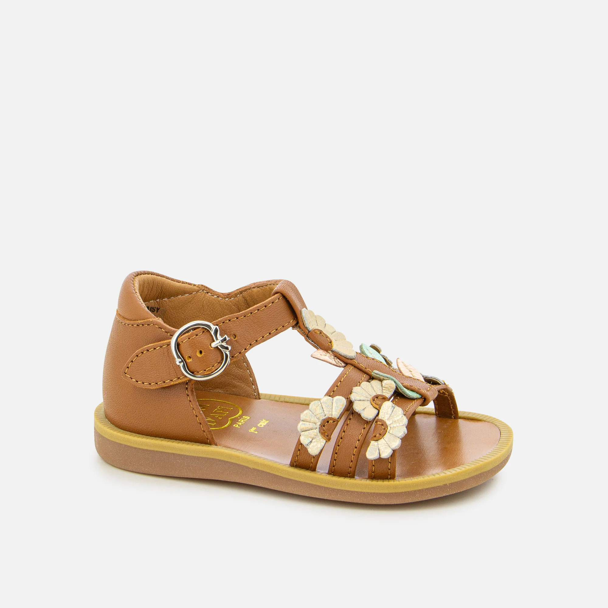 POPPY MULTI DAISY