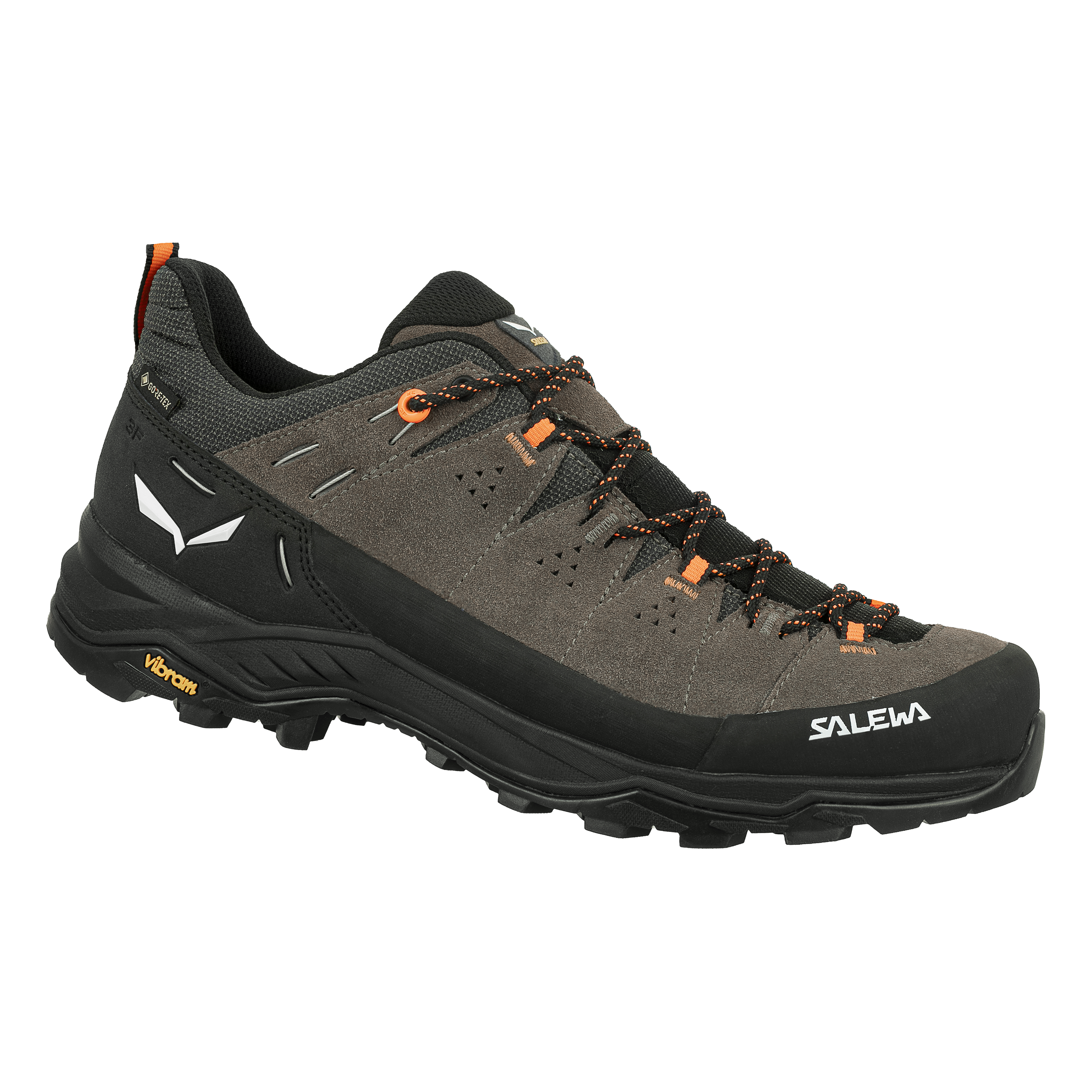Alp Trainer 2 Gore-Tex® Schuh Herren