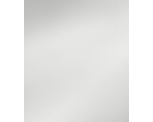 Wenko zilveren glazen achterwand 60 x 70 cm 53883100