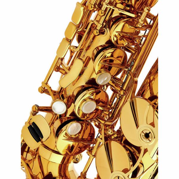 Selmer Supreme Alto Sax