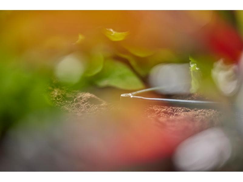 GARDENA L-Stück Micro-Drip-System 3/16