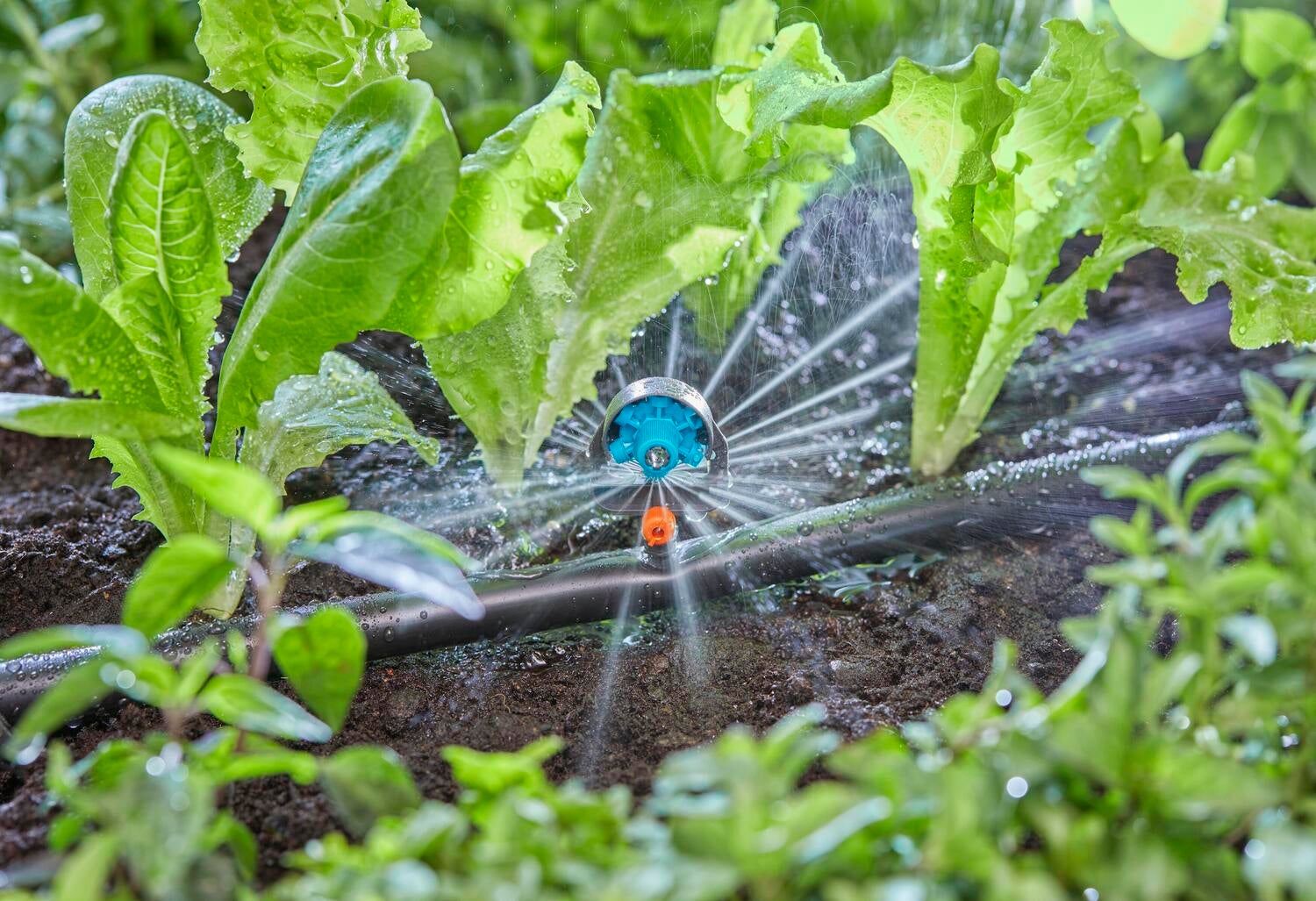 Gardena Micro Drip systeem multi 6-sproeikop