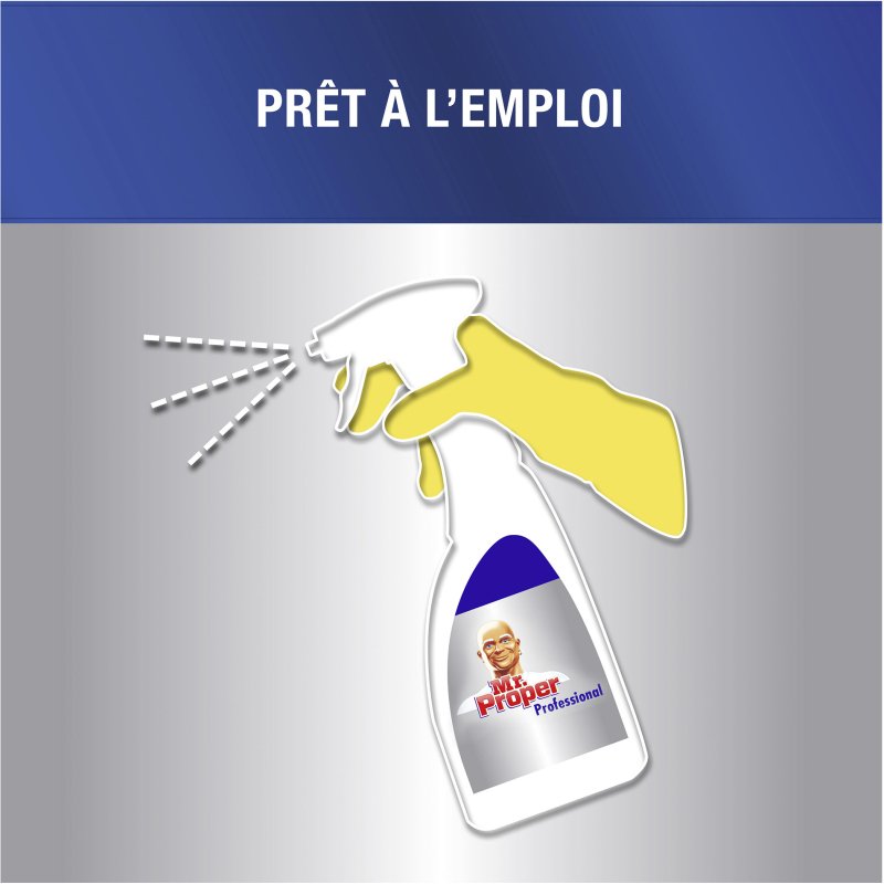 Nettoyant désinfectant multi-surfaces Mr Propre Professional - Spray 750 ml
