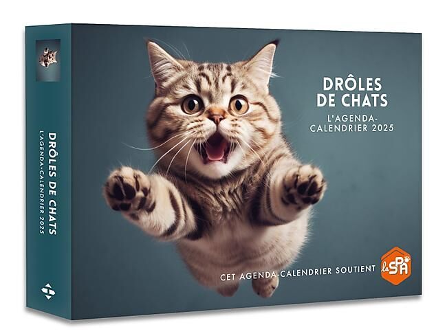 HUGO IMAGE - AGENDA CALENDRIER DROLES DE CHATS 2025