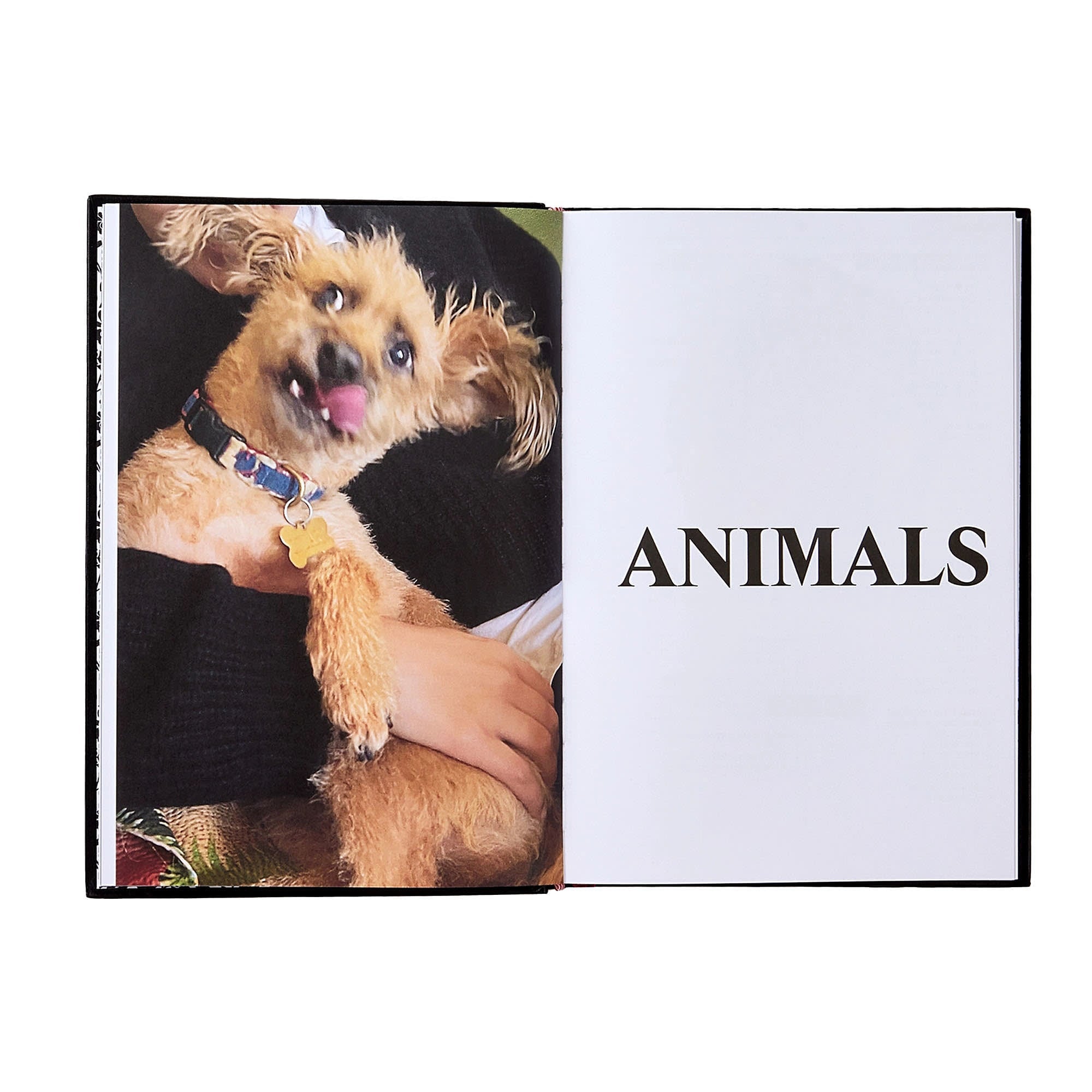 Phaidon<br>Palace Product Descriptions