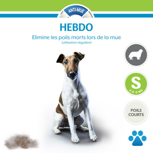 Brosse FURminator pour chien à poils courts
