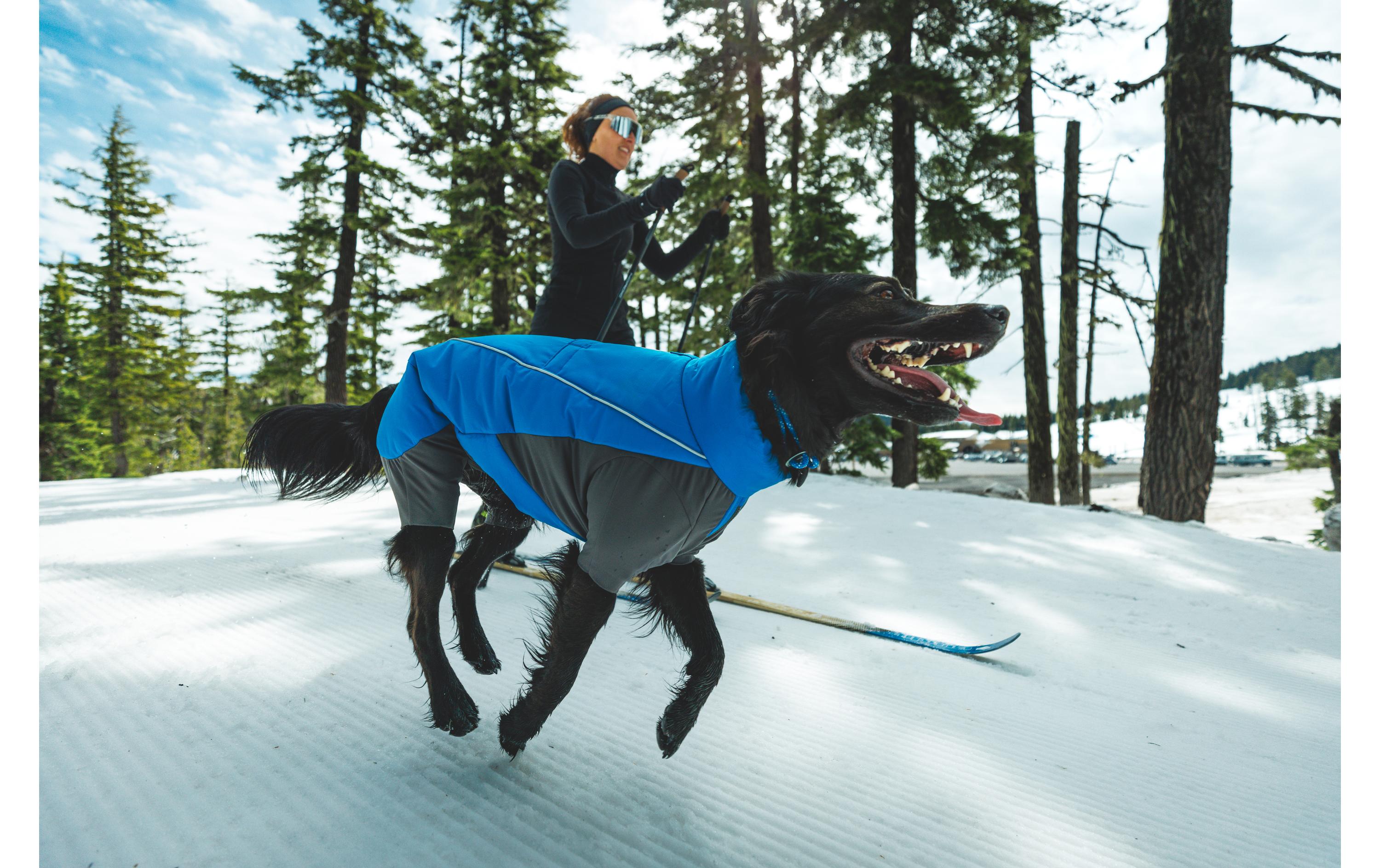 Wintermantel Vert Coverall Blau, XL<br>Hunde Wintermantel