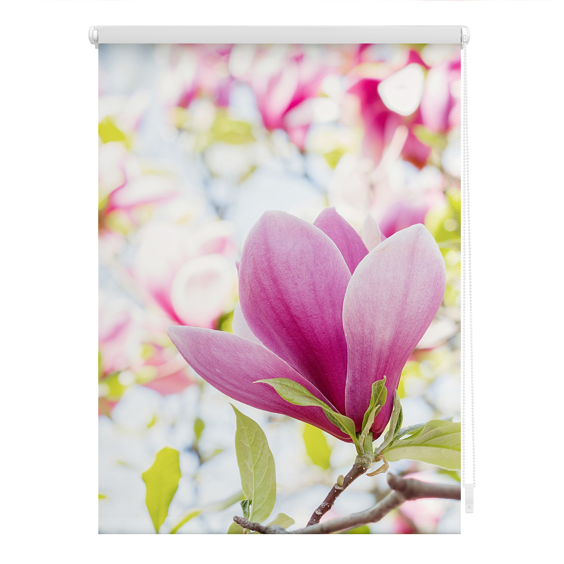 LICHTBLICK Rollo Klemmfix MAGNOLIE - rosa - 45x150 cm