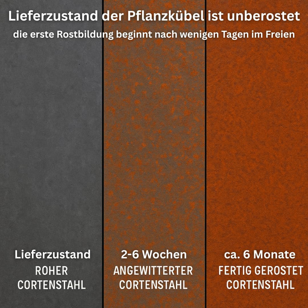 Czaja Cortenstahl Pflanzkübel 60x60x60 cm Fiorella mit Bodenplatte - Made in Germany - Rost Deko Blumenkübel quadratisch – wetterfest & langlebig – Garten Terrasse Balkon – Edelrost Pflanzgefäß