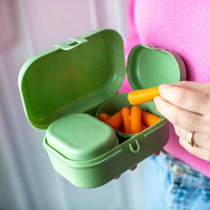 Koziol - Pascal Ready Mini Lunchbox-Set, nature leaf green