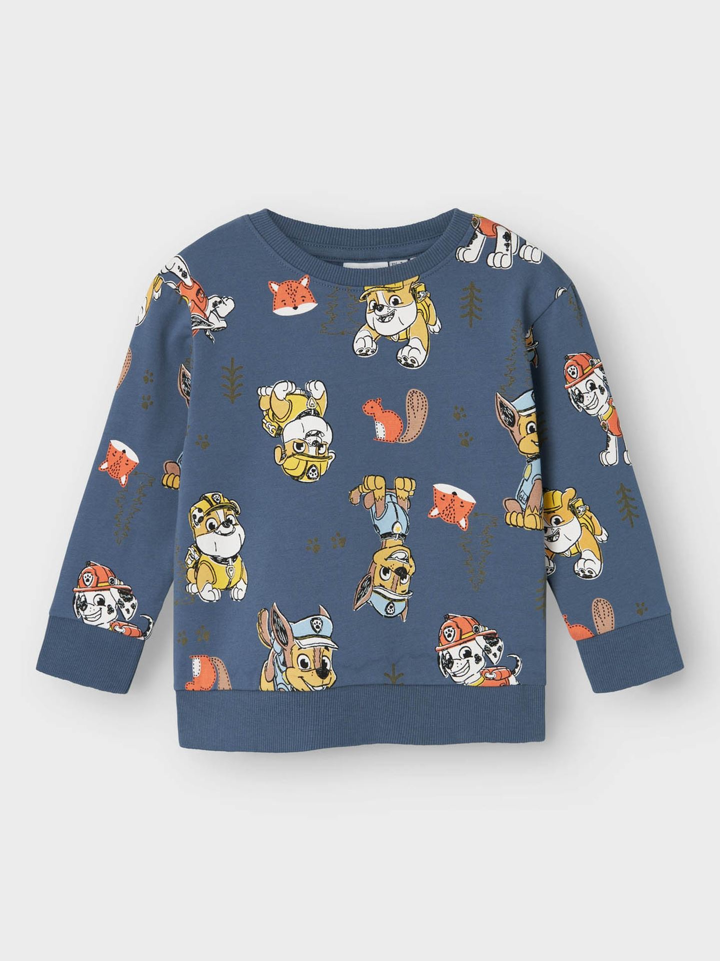 Pawpatrol Sweat Brushed