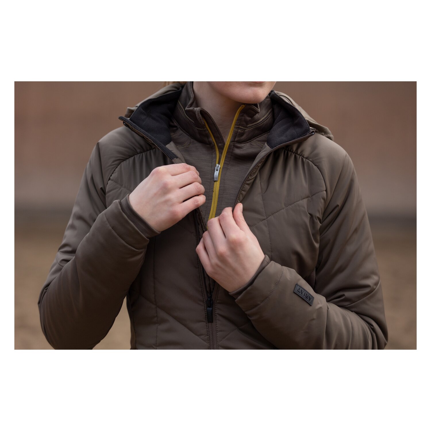 ARIAT Funktionsjacke Zona Insulated - canteen