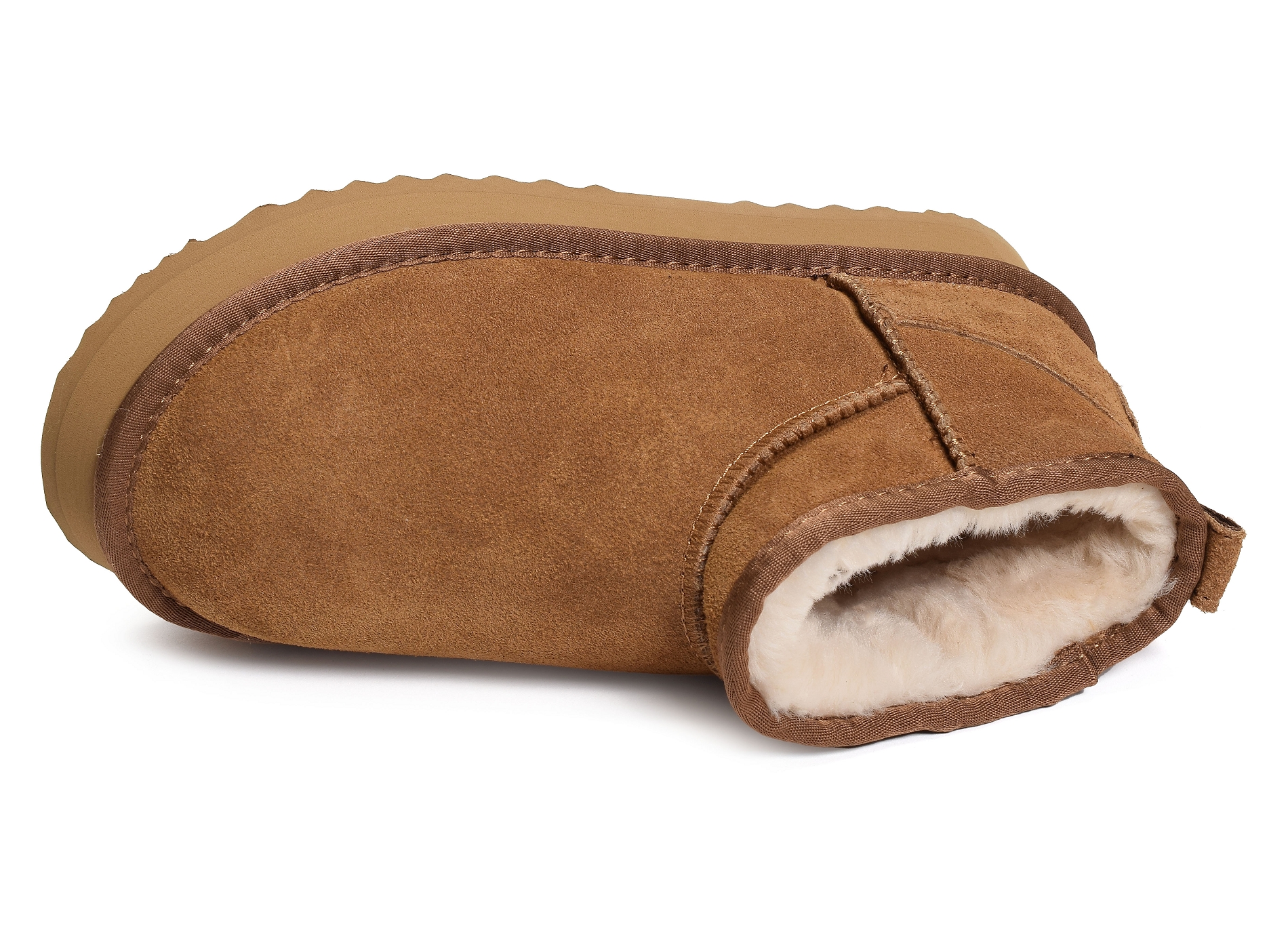 K31224 camel