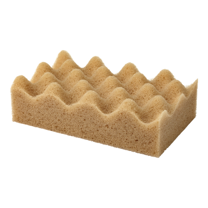 Vaskesvamp