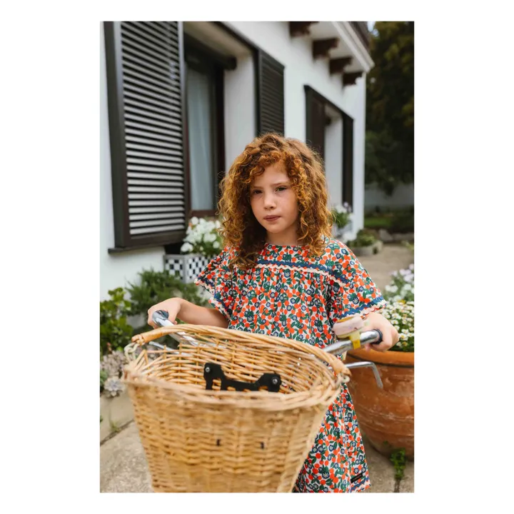 A Monday in Copenhagen Robe Elvira Fleur | Rouge