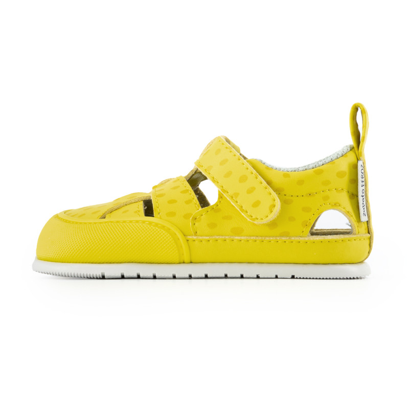 Zapato feroz Zapato Feroz Féroces Irta Ulises Amarillo