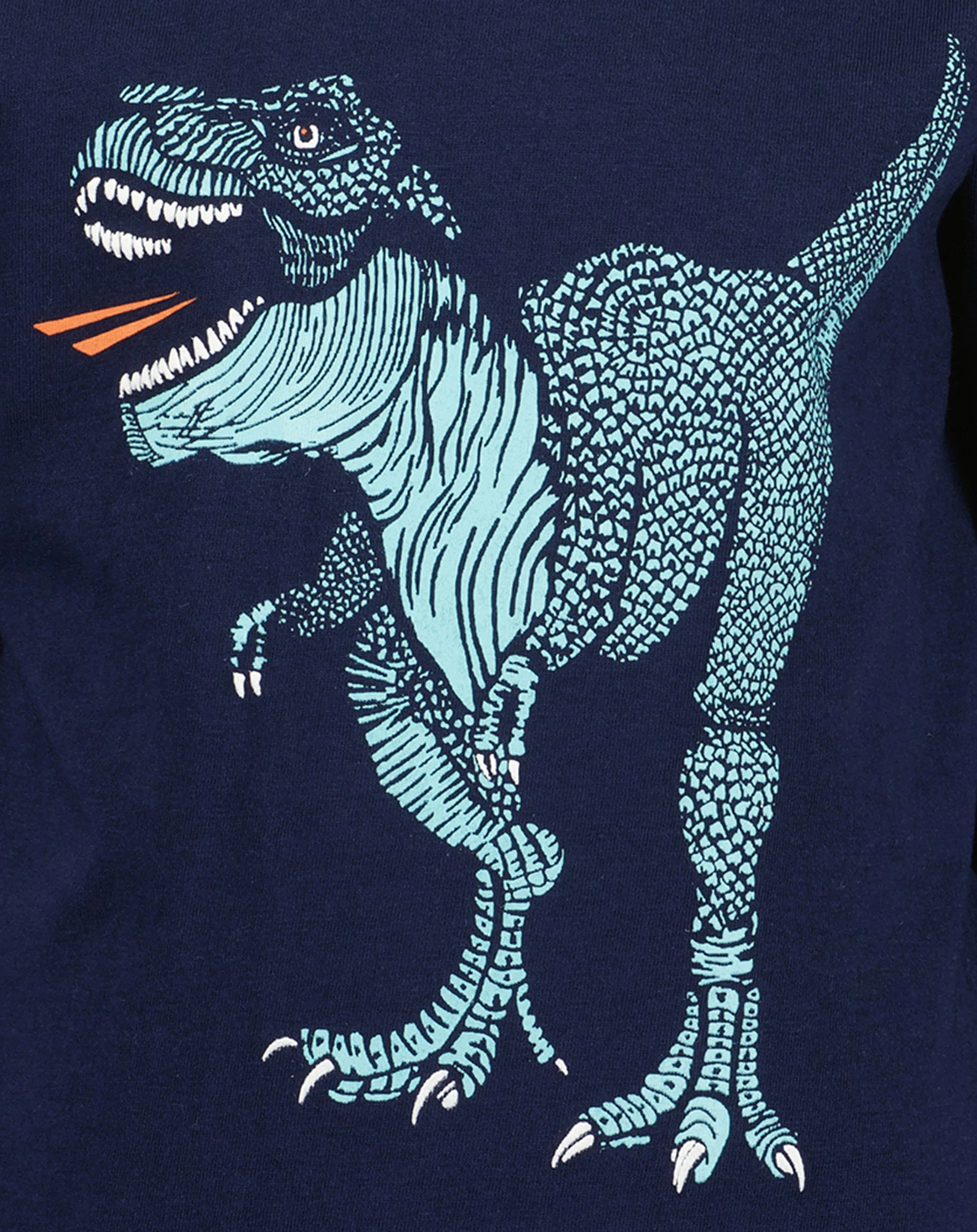 Langarmshirt T-REX ROAR in ultramarin