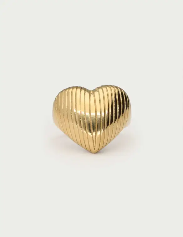 My Jewellery Stripe heart ring MJ13128