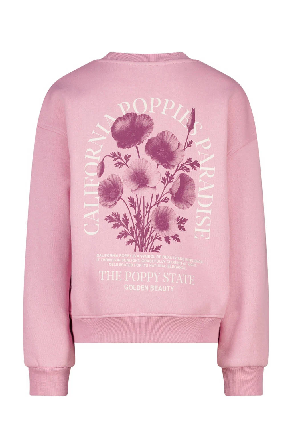 America Today sweater roze