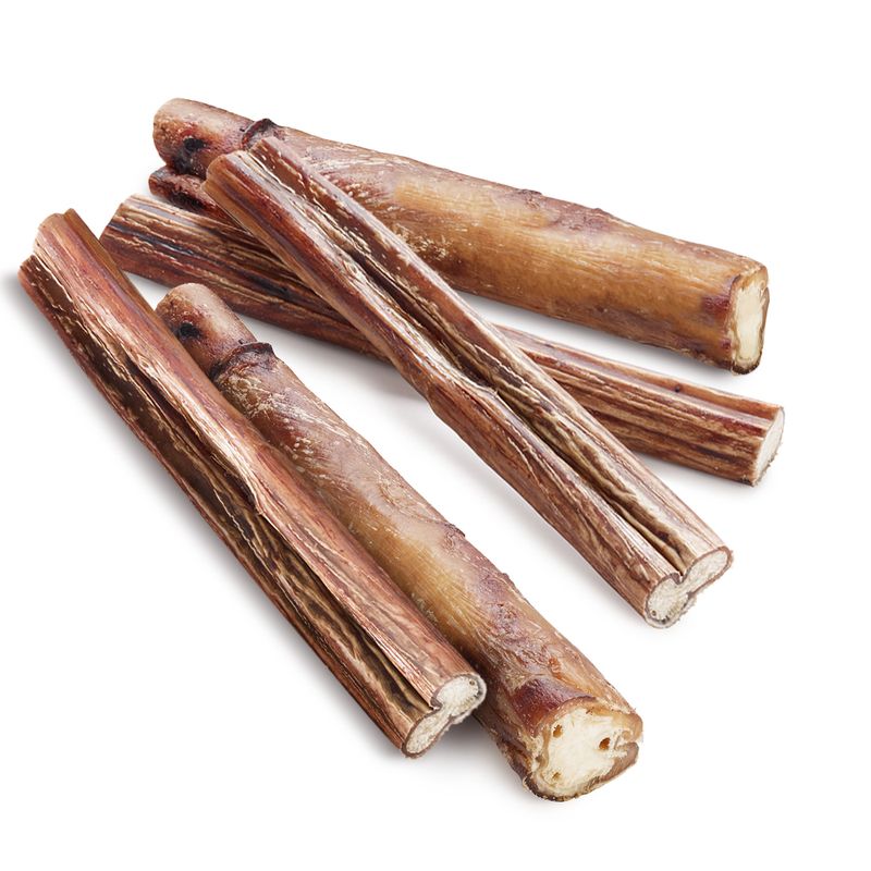 Cimiers de bœuf