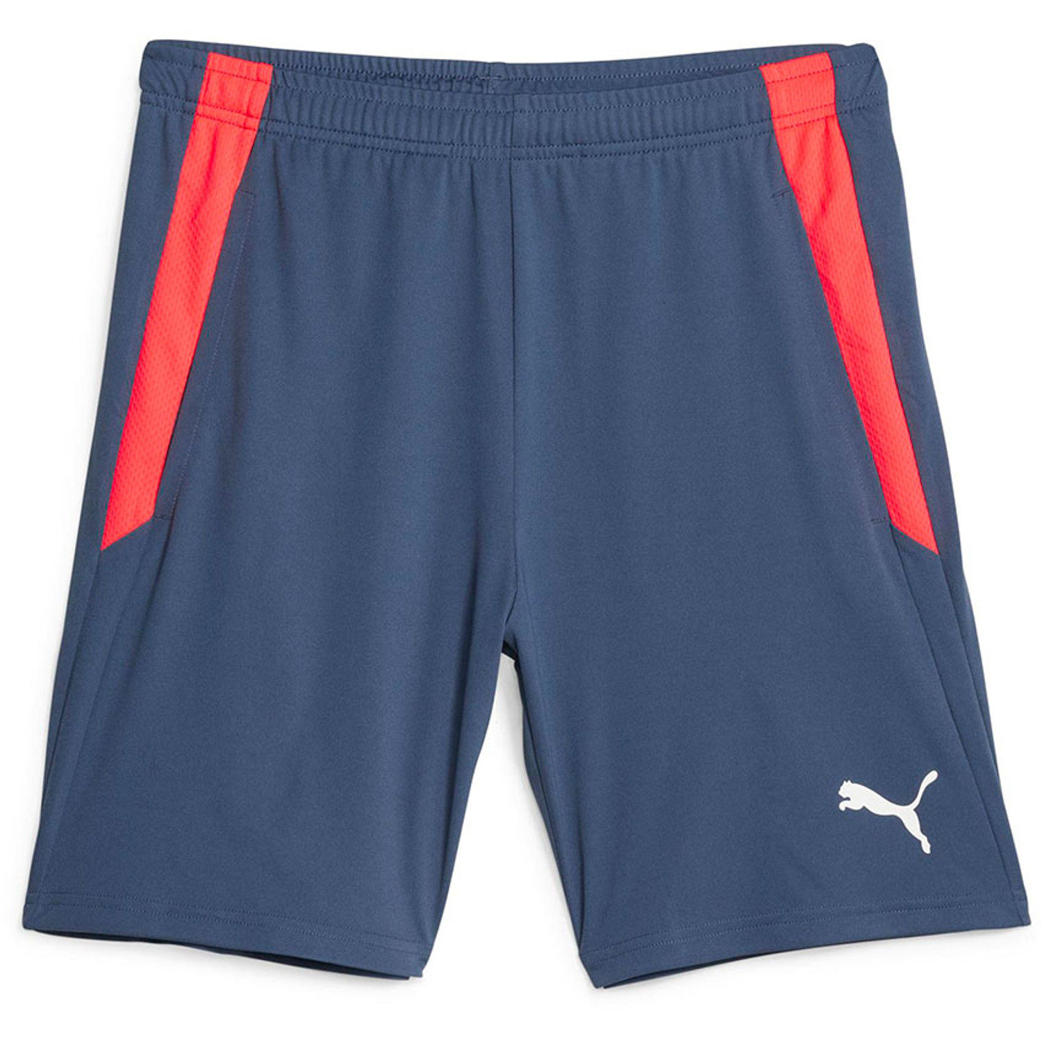 Puma LIGA Trainingsset