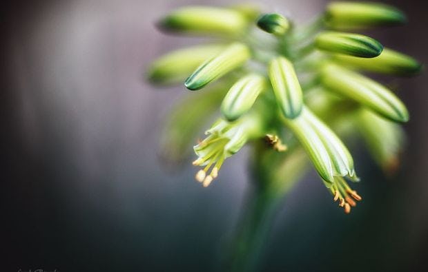 Fotokurs Karlsruhe als Geschenk