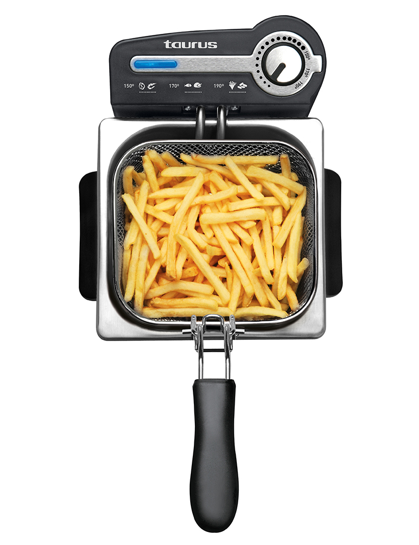 Professional 2 Plus Fryer