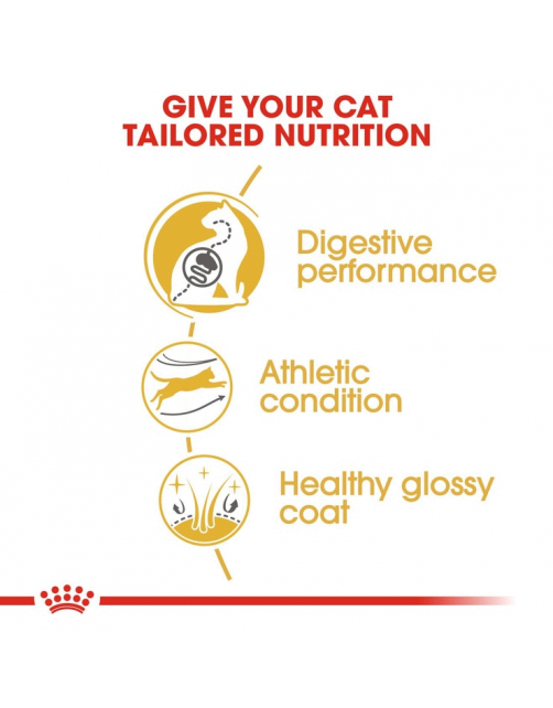 Royal Canin Bengal Adult - Kattenvoer