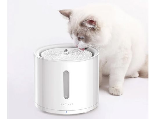 PETKIT - Fontaine à eau connectée EVERSWEET SOLO 2 - 7484