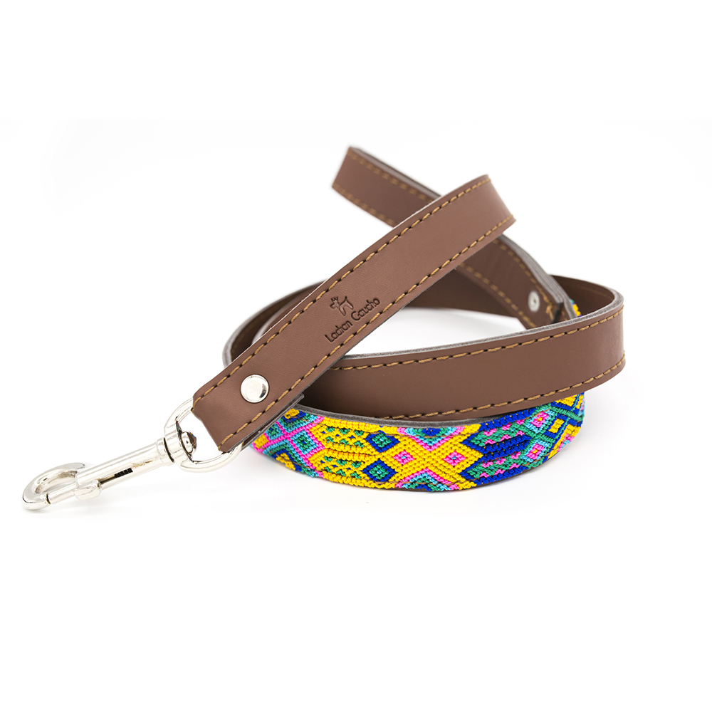 Guia Charro para Cães, Multicolorida