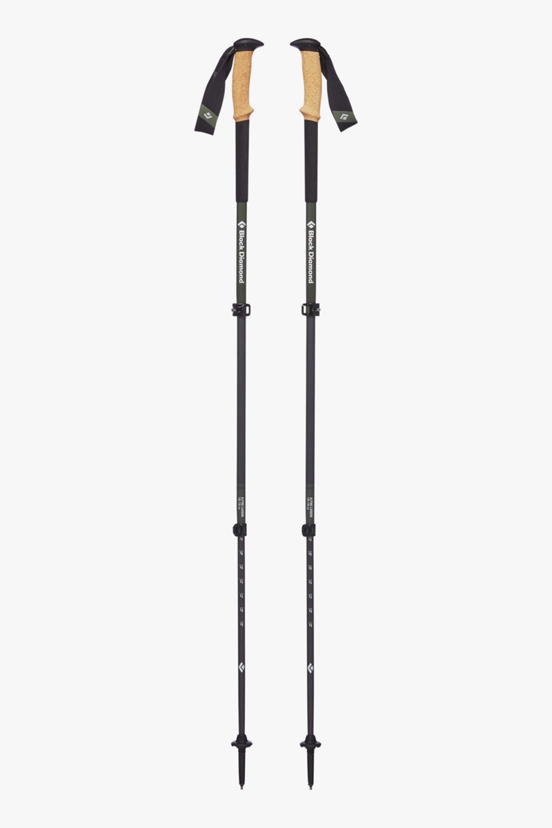 Black Diamond Alpine Carbon Cork Wanderstock